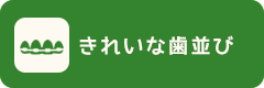きれいな歯並び